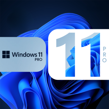 Windows 11 Pro Lisans Key